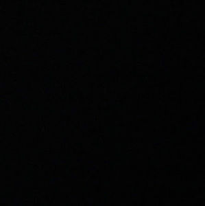 Meet your Posher, Ariana